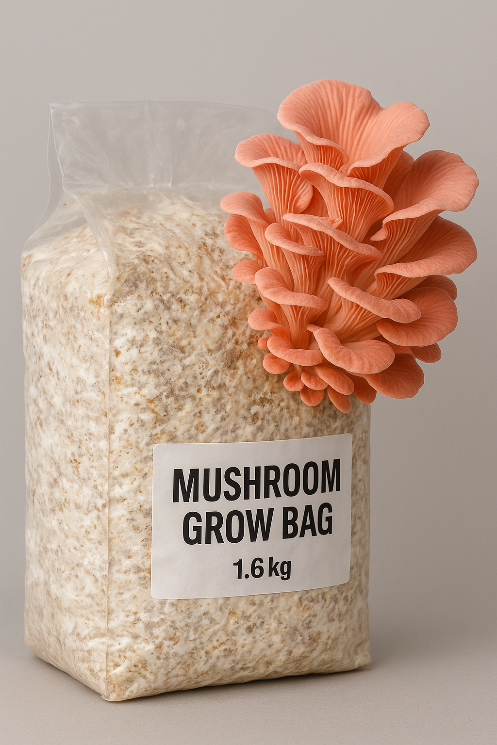 1.6kg Sterilised Master Mix Grow Bag – Filtered, Rehydrated & Ready for Mushroom Inoculation
